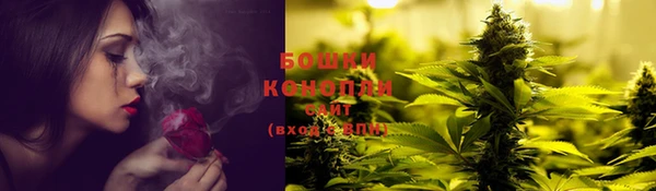 apvp Аркадак